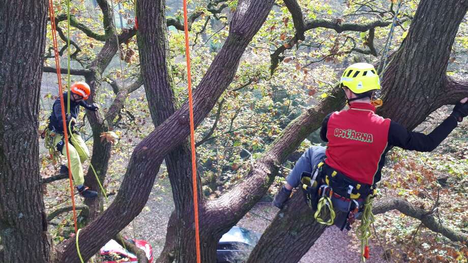 Arboristické služby Outdoor Naplno